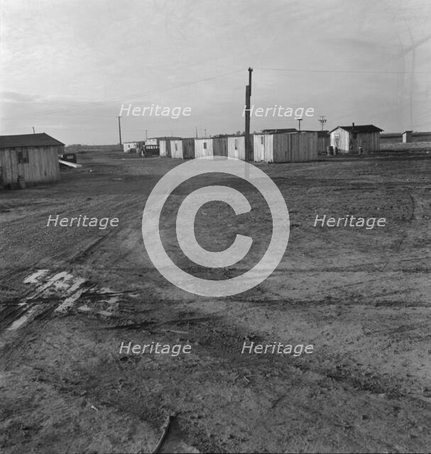 Newly-built cabins, rent five dollars per month, near Bakersfield, California, 1939. Creator: Dorothea Lange.