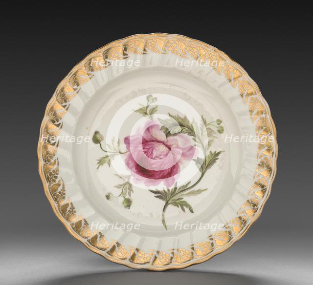 Plate from Dessert Service: Anemone, c. 1800. Creator: Derby (Crown Derby Period) (British).