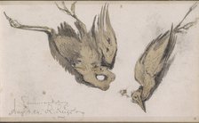 Dead Heron, 1864. Creator: Johannes Tavenraat.