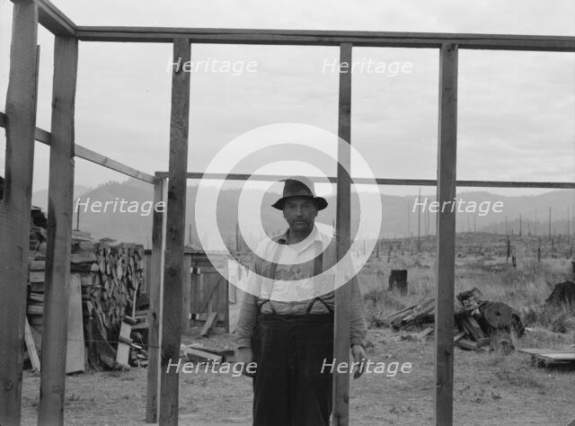 Burned out in Montana..., Priest River country, Bonner County, Idaho, 1939. Creator: Dorothea Lange.