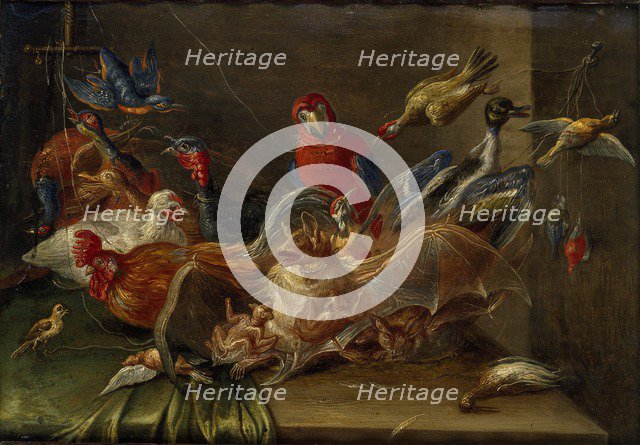 Decorative Still-Life Composition with Birds and Two Bats, mid 17th century. Artist: Jan van Kessel.