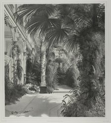 View of the Palm House on the Peacock-Island, c. 1844. Creator: Friedrich Julius Tempeltey.