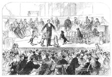 Christmas Soiree at the Hanover-Square Rooms, of the Association in aid of the Deaf and Dumb, 1869. Creator: Unknown.