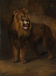 A Lion from the Menagerie of King Louis Napoleon, 1808, 1808. Creator: Pieter Gerardus van Os.
