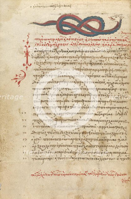 A Snake, 1510-1520. Creator: Unknown.