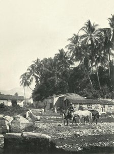 'Typical Village of the Pacific Coast Zone: State of Colima', 1919. Creator: Unknown.