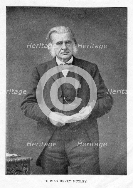 Thomas Henry Huxley, British biologist, c1870s. Artist: Unknown