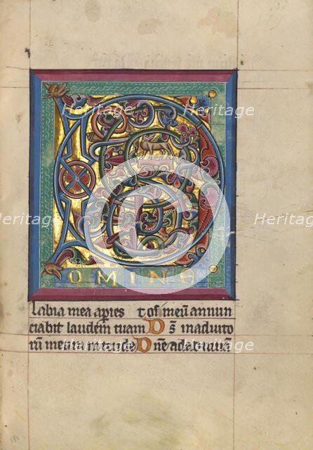 Initial D: A Dog; Psalter, about 1240-1250. Creator: Unknown.