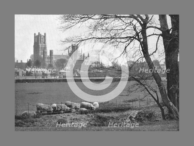 Ely Cathedral, c1900. Artist: GW Wilson and Company.