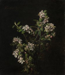 Blossoming branch of an apple tree, 1875. Creator: Henri Fantin-Latour