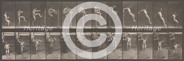 Animal Locomotion. An Electro-Photographic Investigation of Consecutive Phases of Animal ..., 1880s. Creator: Eadweard J Muybridge.