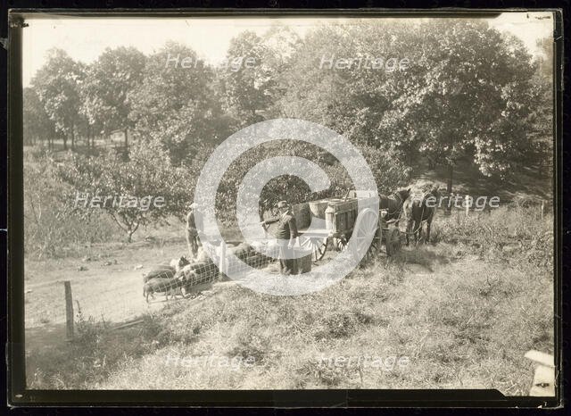 Untitled, ca. 1935. Creator: Lewis Wickes Hine.