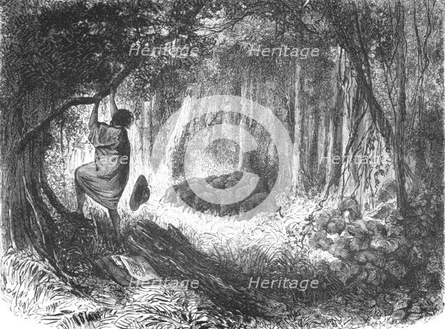 'An Aboriginal in Danger; An Ascent of the Cofre de Perote, Mexico', 1875. Creator: Unknown.