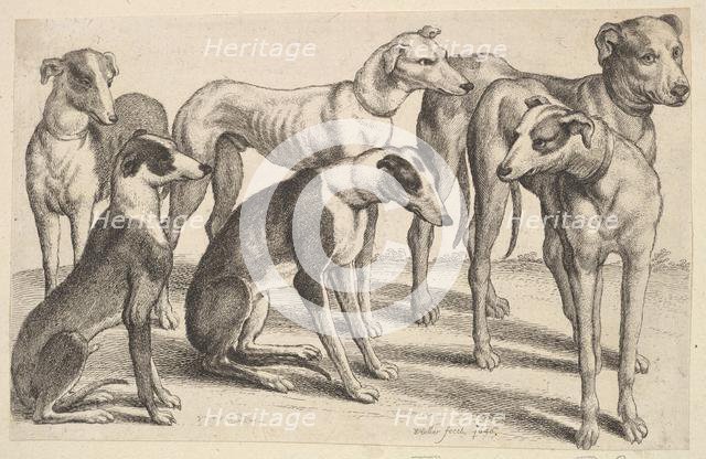 Six Hounds, 1646. Creator: Wenceslaus Hollar.