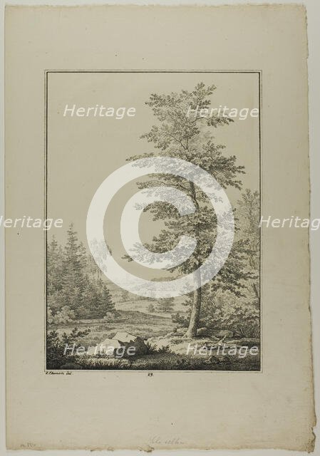 Plate 29 from Blatt Baum und Landschafts Studien, c.1810. Creator: Lorenz Ekemann Alesson.