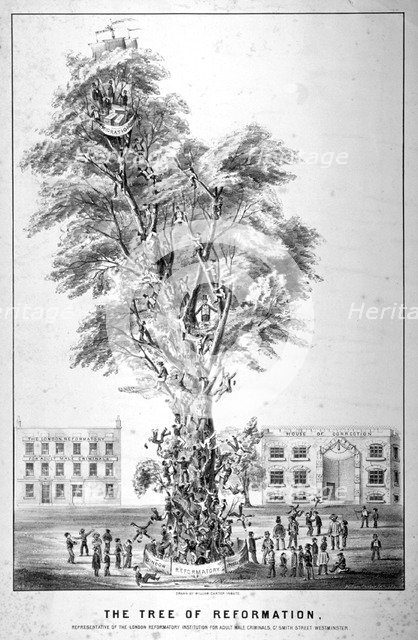 'The Tree of Reformation', 1853. Artist: Anon