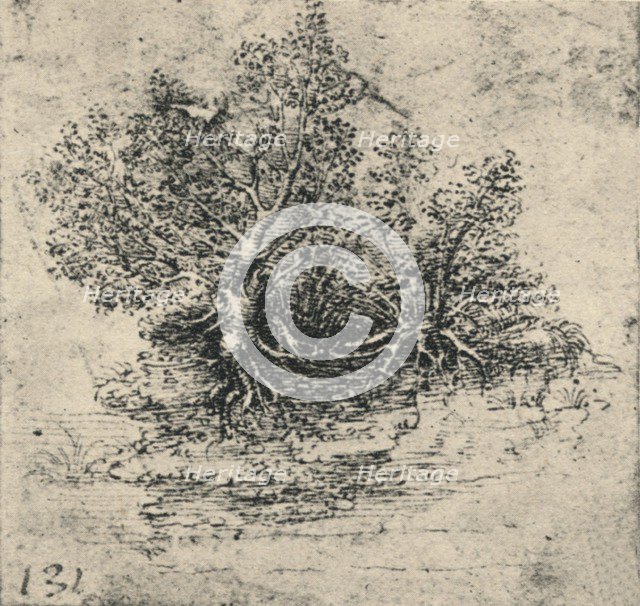 'Two Trees on the Bank of a Stream', c1480 (1945). Artist: Leonardo da Vinci.