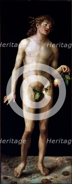  'Adam', oil on canvas by Albrecht Durer.