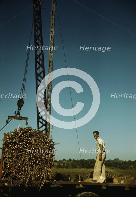 Crane at a "central" sugar cane gathering place, San Sebastian vicinity, Puerto Rico, 1942. Creator: Jack Delano.
