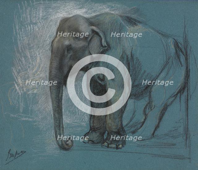 Study of an Elephant. Creator: John Macallan Swan (British, 1847-1910).