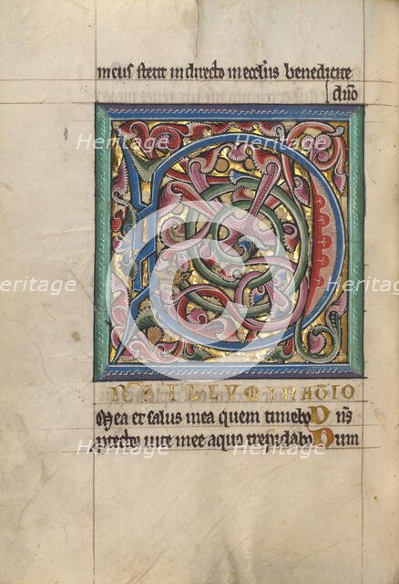 Decorated Initial D; Psalter, about 1240-1250. Creator: Unknown.