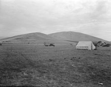 Awaiting the opening of orange picking season, near Porterville, California, 1936. Creator: Dorothea Lange.