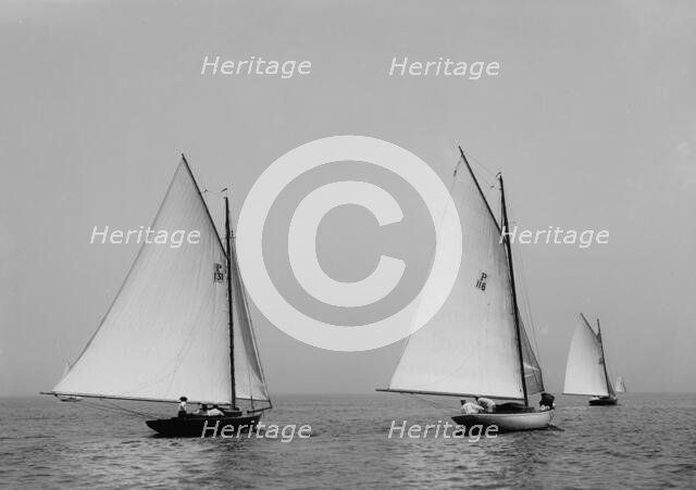Mongoose, Midge, and Dipper, 1898 July 4. Creator: John S Johnston.