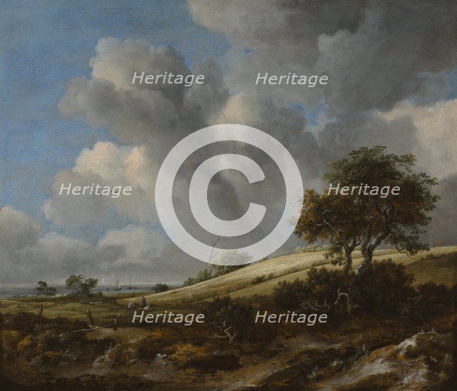 A Cornfield with the Zuiderzee in the background, c. 1660. Artist: Ruisdael, Jacob Isaacksz, van (1628/29-1682)