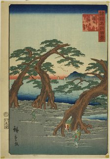 Maiko Beach, Banshu Province (Banshu Maiko no hama) from the series "One Hundred Famous Vi..., 1859. Creator: Utagawa Hiroshige II.