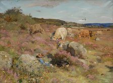 The Herd Girl, 1902 - 1906. Creator: William Walls.