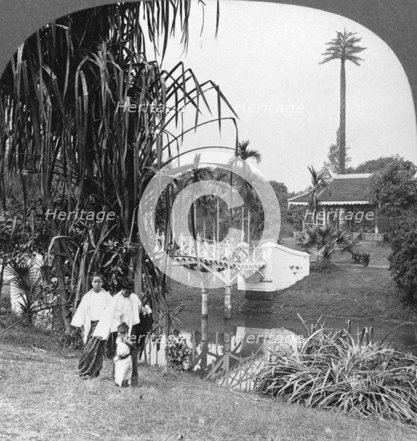 A peep into the tropical gardens of Rangoon, Burma, 1908. Artist: Stereo Travel Co