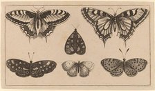 Five Butterflies and a Moth. Creator: Wenceslaus Hollar.