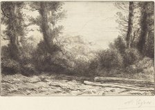 Edge of a Wood (Lisiere de bois). Creator: Alphonse Legros.