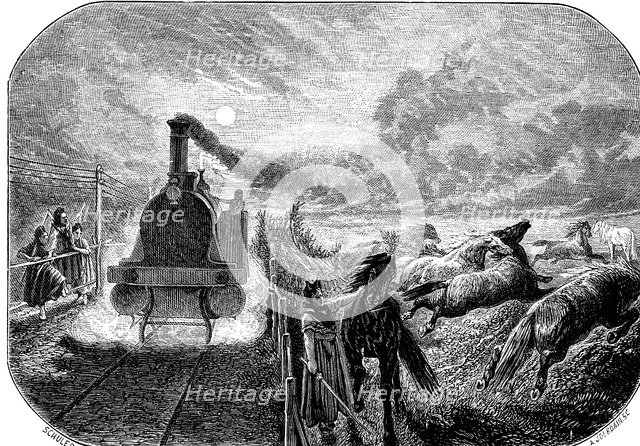 Stampede of horses when passing a steam train in the Alsace region, drawing engraved by M. Schule…