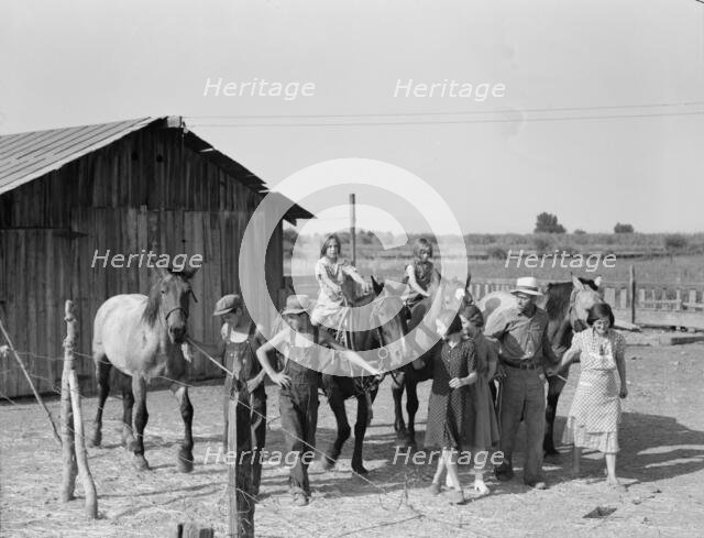 Chris Adolf, his team, and...children on their new farm, Washington, Yakima Valley, 1939. Creator: Dorothea Lange.