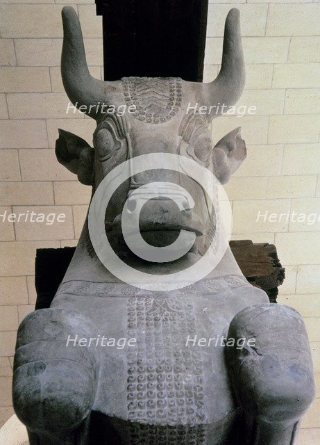 Capital in limestone of the Apadana (audience hall), from the Palace of Darius I at Susa (Elam), …