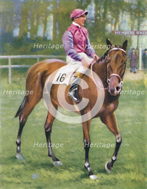 Zoltan, Jockey: M. Beary', 1939. Artist: Unknown.