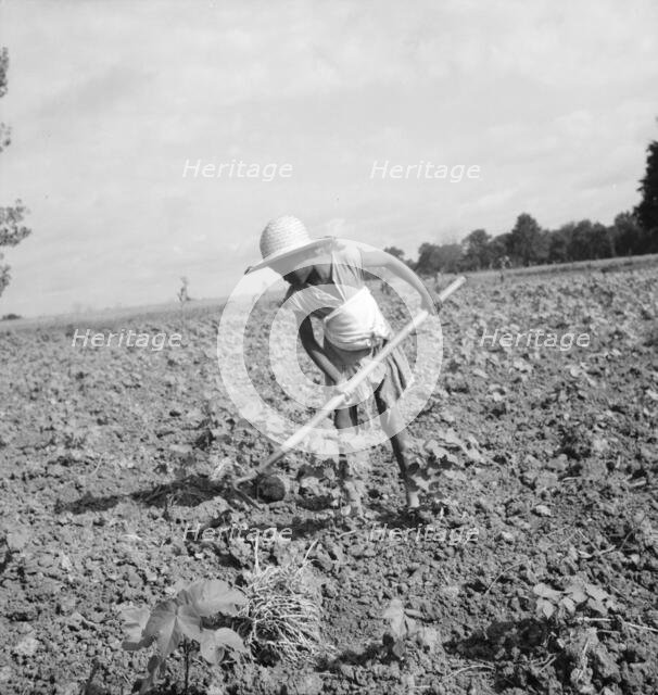 Child of impoverished Negro tenant family working on farm, Alabama, 1936. Creator: Dorothea Lange.