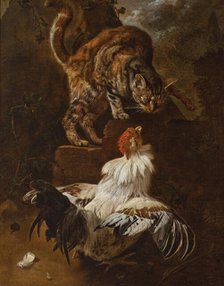 Fight of a Cock and a Cat, 1674. Creator: Jacomo Victors.