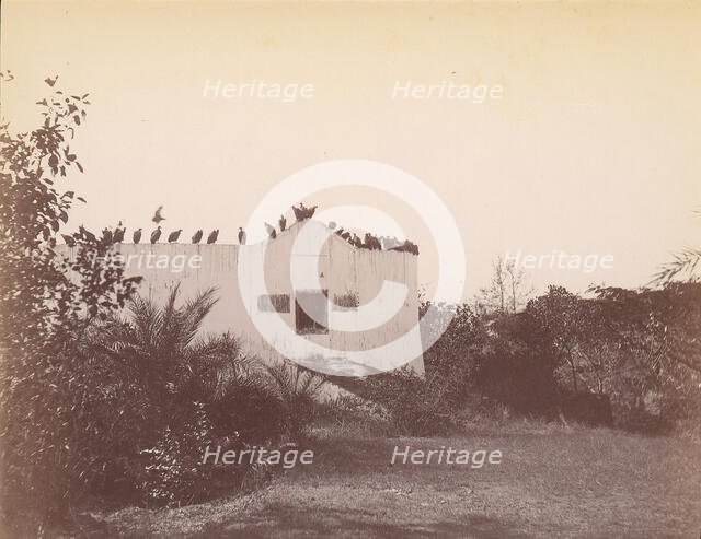 Birds on Roof of Small Building, 1860s-70s. Creator: Unknown.