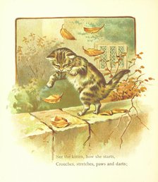 See the kitten, how she starts, Crouches, stretches, paws and darts, 1893.  Creator: Jessie Hall.