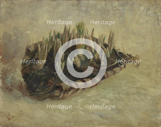 Basket of Crocus Bulbs, 1887. Creator: Gogh, Vincent, van (1853-1890).