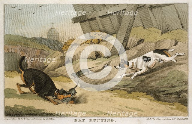 'Rat Hunting', 1823. Artist: Unknown