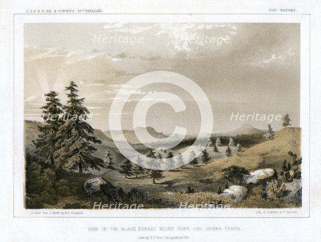 The Black Forest Mount Hope and Sierra Prieta, USA, 1856.Artist: E Stout