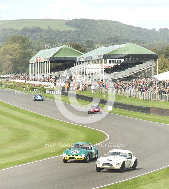 2011 Goodwood Revival Meeting historic sports car racing, Ferrari 250 GTO and AC Cobra at Madgwick Artist: Unknown.