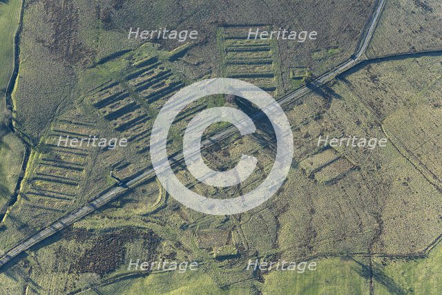 The earthwork remains of Leighton Construction Camp, Breary Banks, North Yorkshire, 2025. Creator: Robyn Andrews.