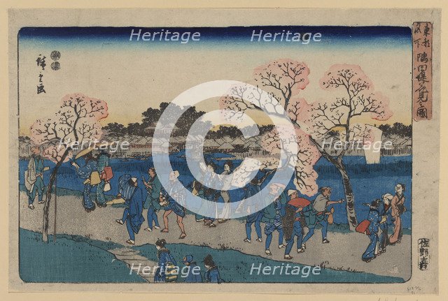 Cherry blossoms along Sumida River. (Sumida tsutsumi hanami no zu). Artist: Hiroshige, Utagawa (1797-1858)