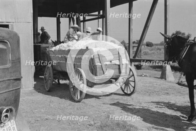 At the cotton gin, Cotton gin and wagons, Hale County, Alabama, 1936. Creator: Walker Evans.