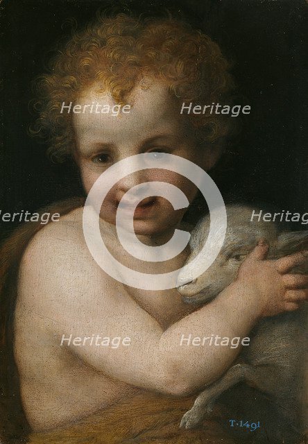 John the Baptist as child. Artist: Andrea del Sarto (1486-1531)
