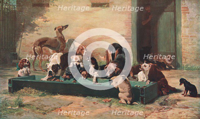 'Table d'Hote at a Dogs' Home', 1880, (c1902).  Creator: Unknown.